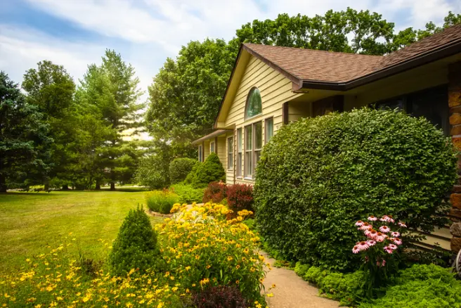 Common Mistakes To Avoid In Front Yard Landscaping Projects Hemet CA