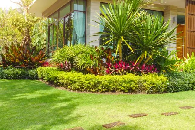 Common Mistakes To Avoid In Front Yard Landscaping Projects in Hemet CA