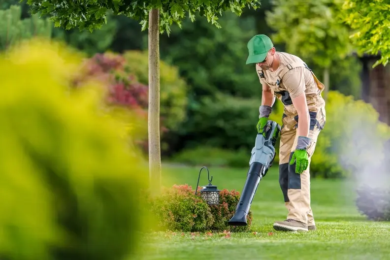 Common Yard Maintenance Tasks For Healthy Landscaping Hemet CA