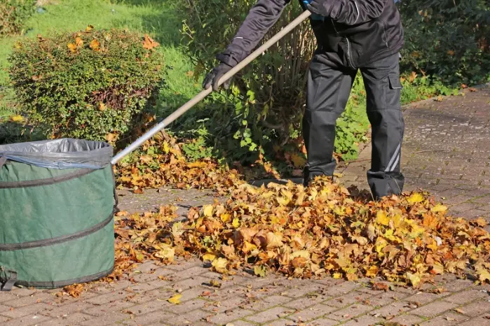 Common Yard Maintenance Tasks For Healthy Landscaping in Hemet CA