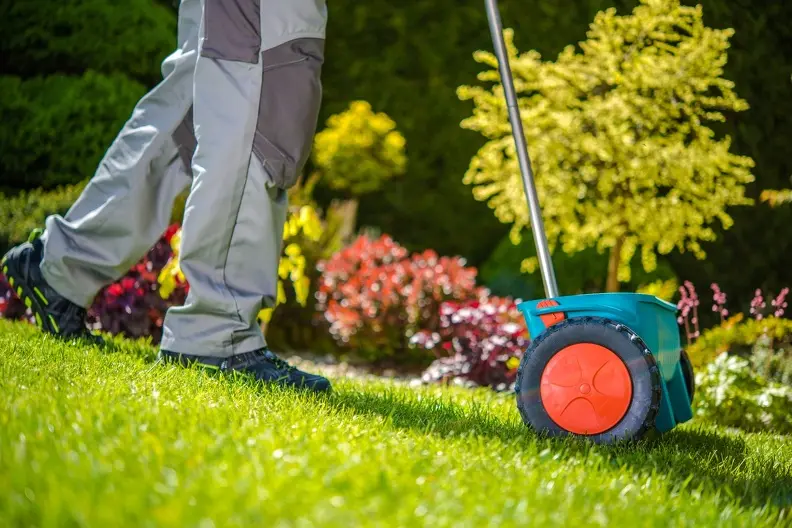 Excellent Yard Maintenance Hemet CA Excellent Yard Maintenance Hemet CA