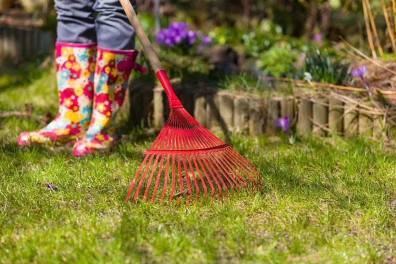 How Yard Maintenance Affects Property Value And Aesthetics Hemet CA