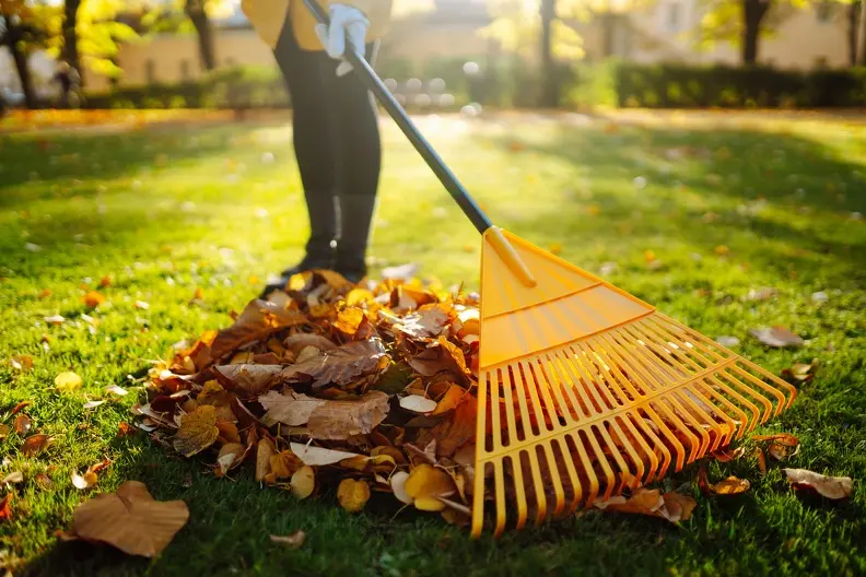 Professional Yard Maintenance Hemet CA Professional Yard Maintenance Hemet CA