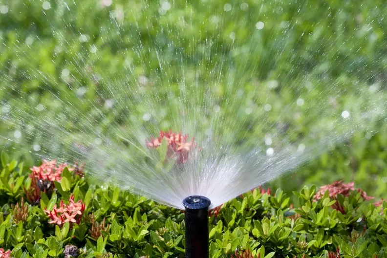 Why Irrigation Services Save You Time And Water Usage in Hemet CA